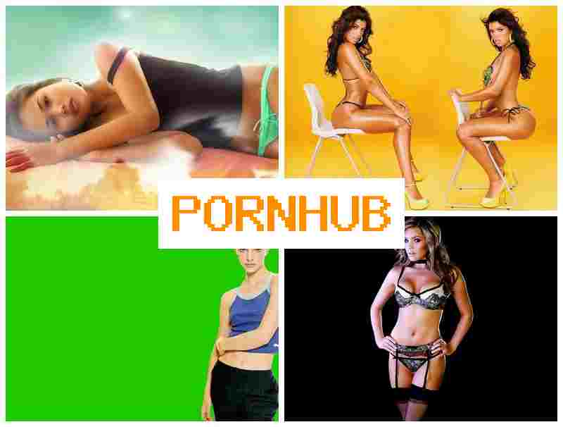 PORN HHB ✔️ Webcam Solo Hot